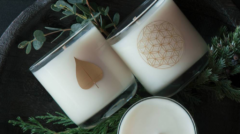 Screen Shot 2020-02-29 at 1.26.15 PM