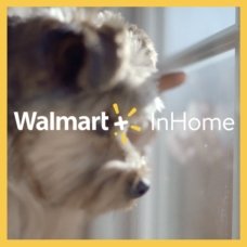 inhomeicon
