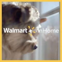 inhomeicon